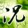三傻大闹宝莱坞